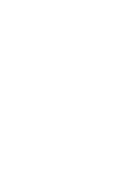 Frog Surfboards