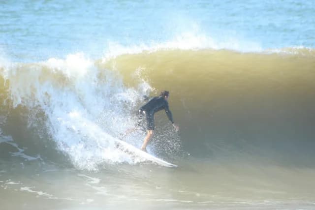 Frog Surfboards no Instagram
