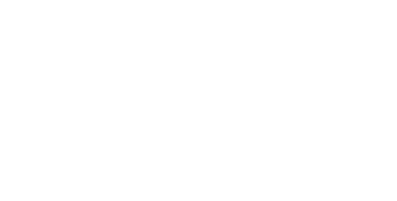 Logo LIBERTY FLOW