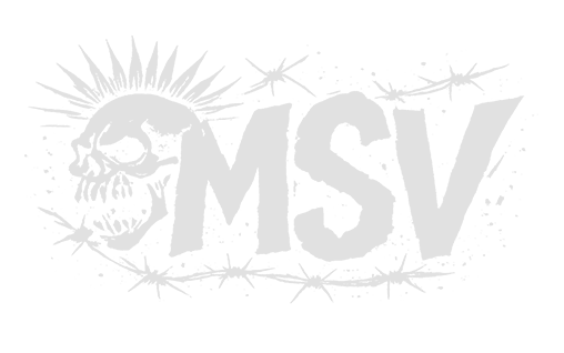 Logo Modelo MSV